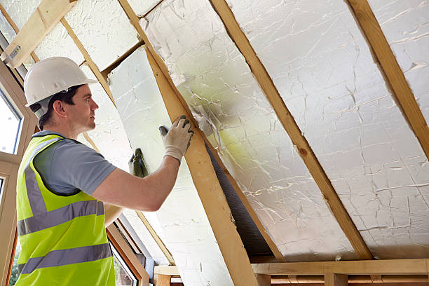Best Geographic-Specific Insulation Services in Ventnor City, NJ